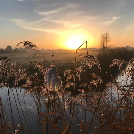 Tatil Evi Maison Mitoyenne 5 Pers, Animaux Admis, A 10 Min - Fr-1-540-300