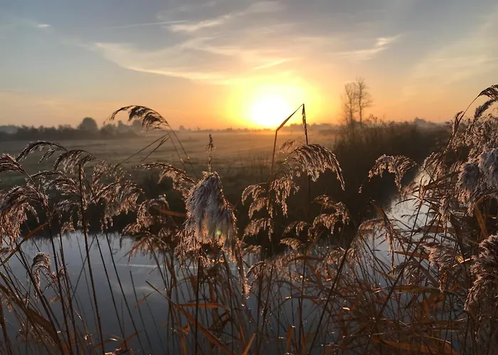 Hébergement de vacances Maison Mitoyenne 5 Pers, Animaux Admis, à 10 Min - Fr-1-540-300