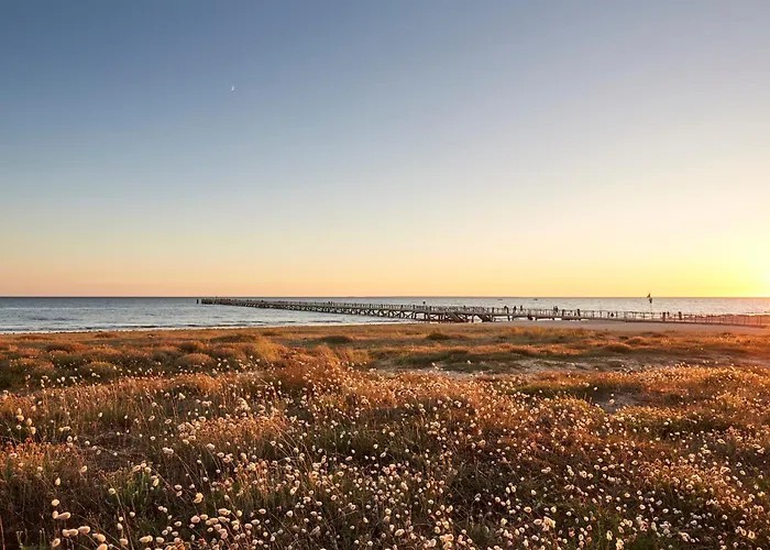 Hébergement de vacances Maison Mitoyenne 5 Pers, Animaux Admis, à 10 Min - Fr-1-540-300 Notre-Dame-de-Monts
